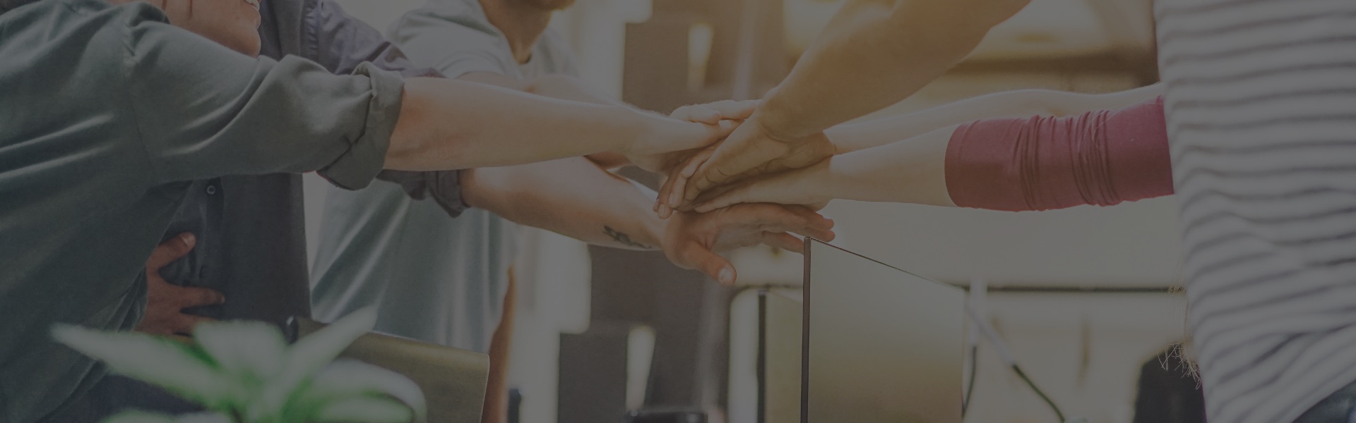 Trabaja<br> con nosotros